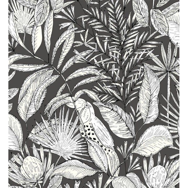Papel pintado de hojas y tucanes fondo negro - Nueva Guinea 128726