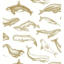 Papel pintado Whale Sanctuary 128761