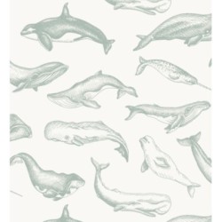Papel pintado Whale Sanctuary 128763