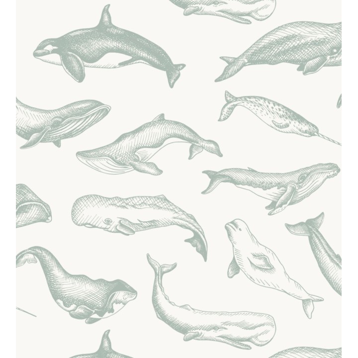 Papel pintado de ballenas y narvales color gris verdoso - Whale Sanctuary 128763
