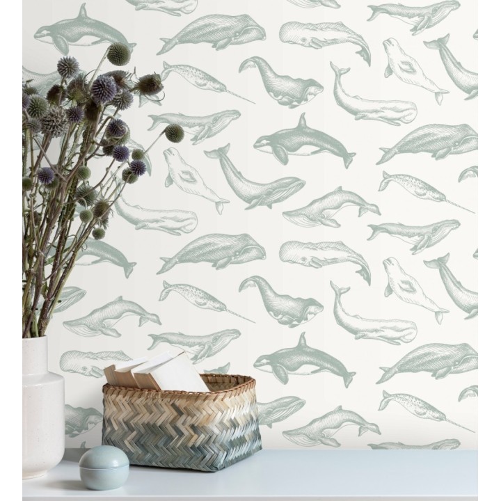 Papel pintado de ballenas y narvales color gris verdoso - Whale Sanctuary 128763